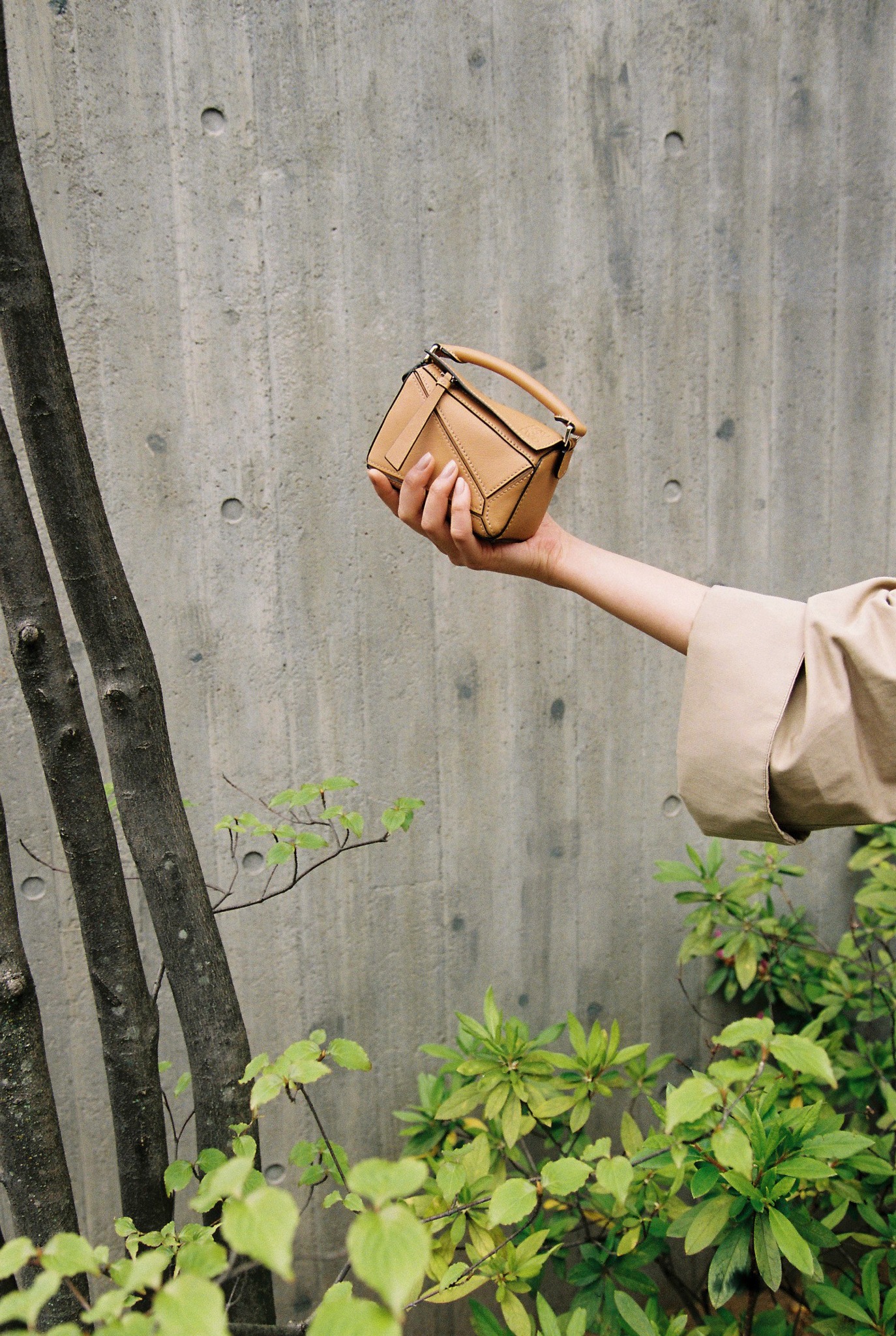Photograph by Lorenzo Dalbosco